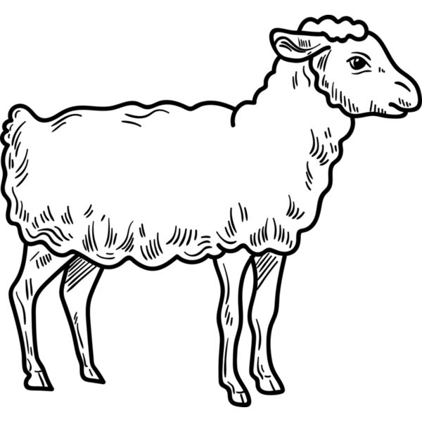 Lamb   Clipart 3 Miniaturansicht
