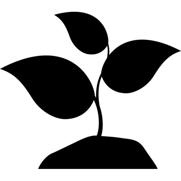 42 Plant Miniaturansicht