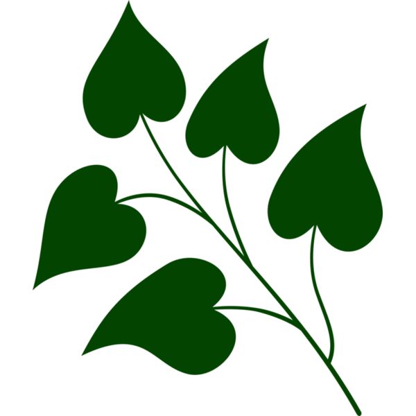 Leaves 3 Miniaturansicht