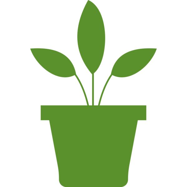 Plant 2 Miniaturansicht