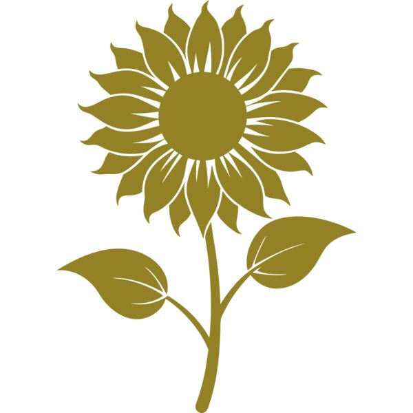 Sunflower 2 Miniaturansicht