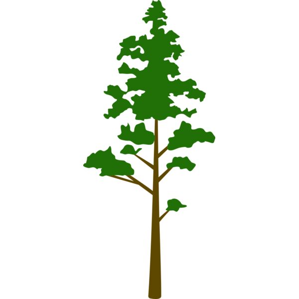 Tree Plant 8 Miniaturansicht