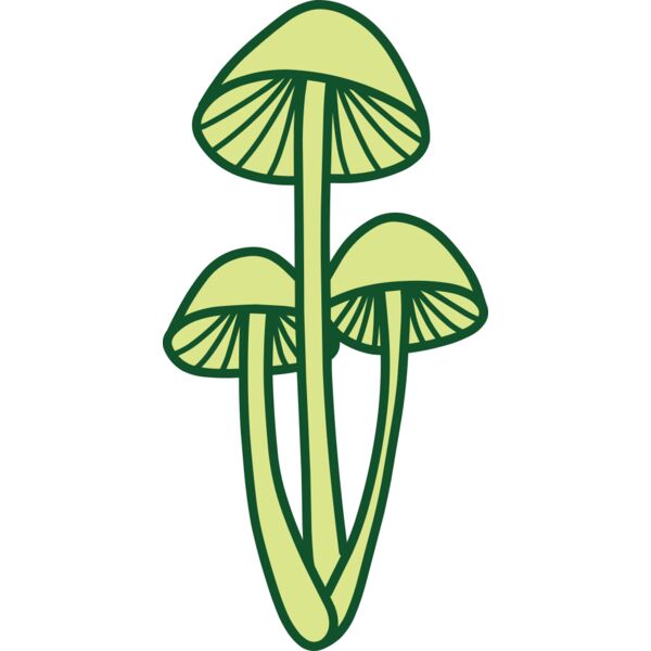 Mushroom 2 Miniaturansicht