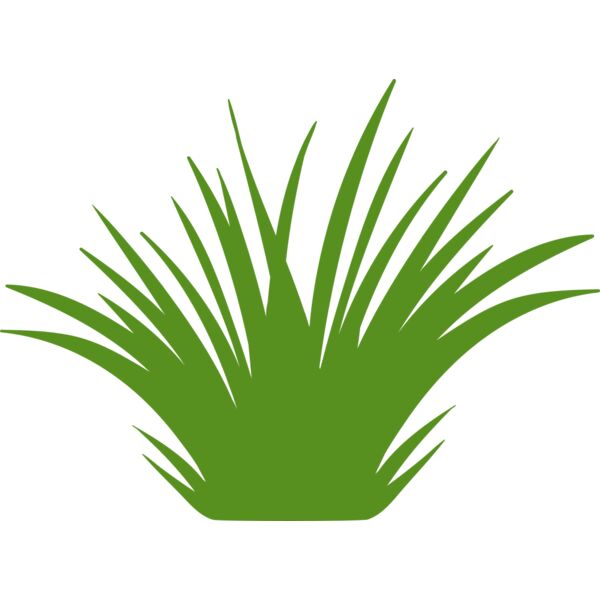 Grass 2 Miniaturansicht