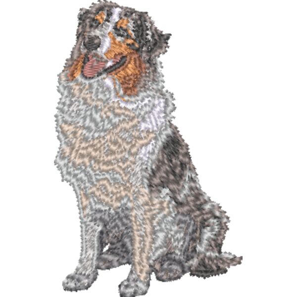 Australischer Schäferhund Körper 1 Miniaturansicht