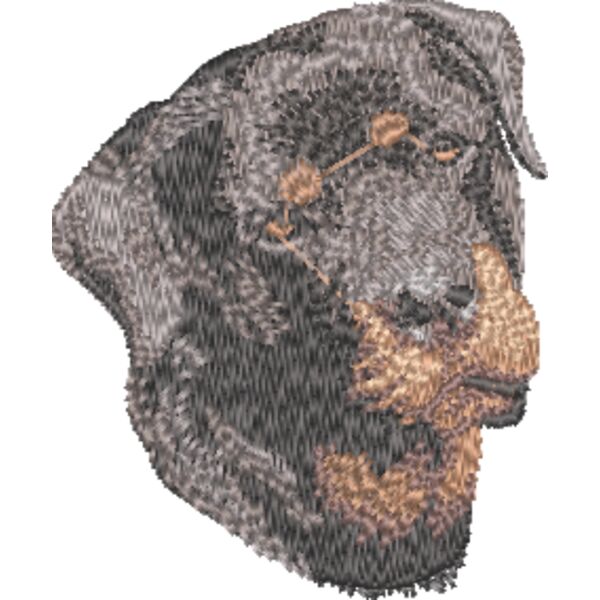 Rottweiler Kopf 2 Miniaturansicht