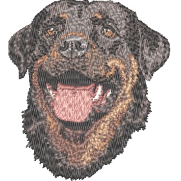 Rottweiler Kopf 3 Miniaturansicht