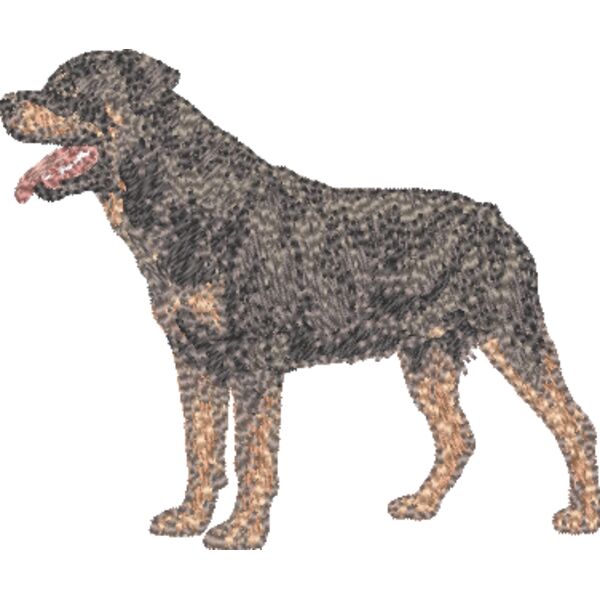 Rottweiler Körper 1 Miniaturansicht