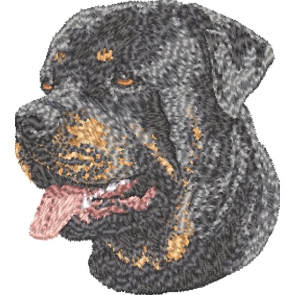 Rottweiler Kopf 4 Miniaturansicht