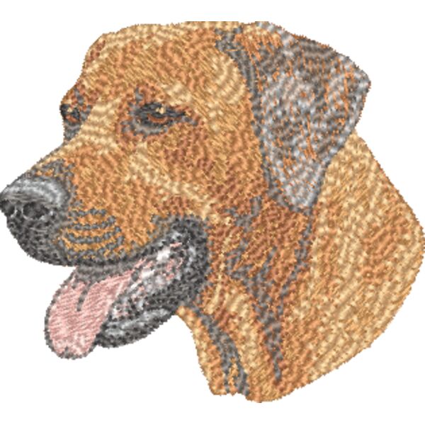 Rhodesian Ridgeback Kopf 3 Miniaturansicht
