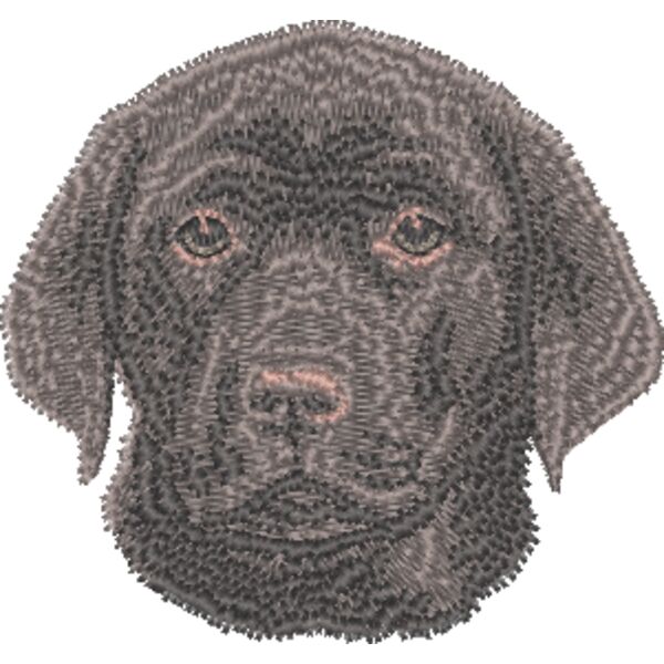 Labrador Retriever Welpe 1 Miniaturansicht
