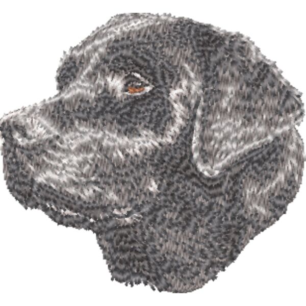 Labrador Retriever Kopf 4 Miniaturansicht