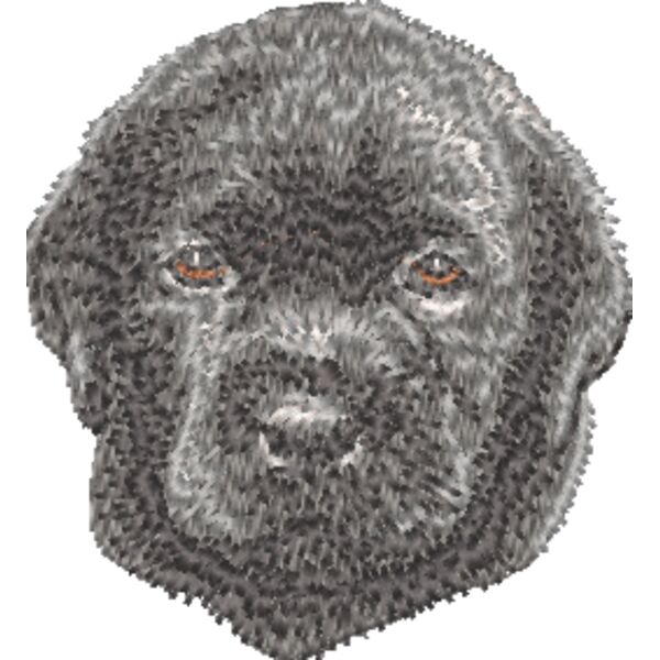 Labrador Retriever Welpe 2 Miniaturansicht