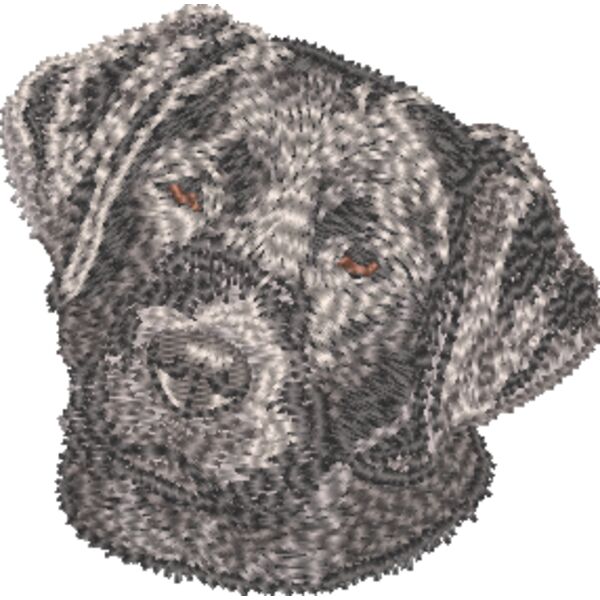 Labrador Retriever Welpe 3 Miniaturansicht