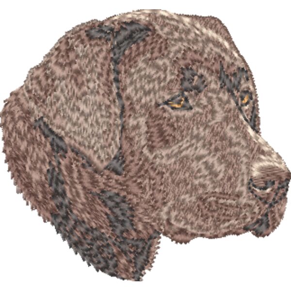 Labrador Retriever Kopf 6 Miniaturansicht