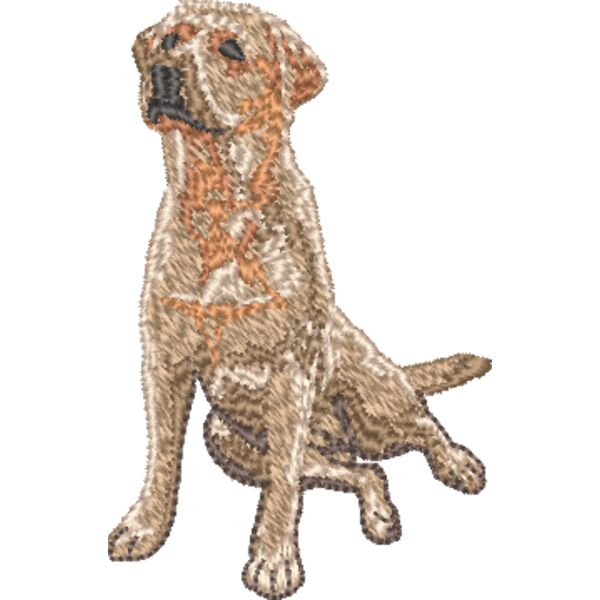 Labrador Retriever Körper 1 Miniaturansicht