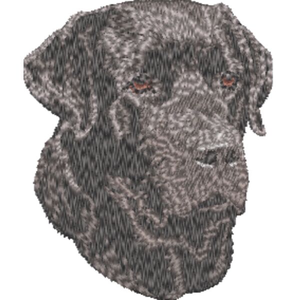 Labrador Retriever Kopf 10 Miniaturansicht