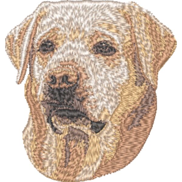 Labrador Retriever Kopf 11 Miniaturansicht