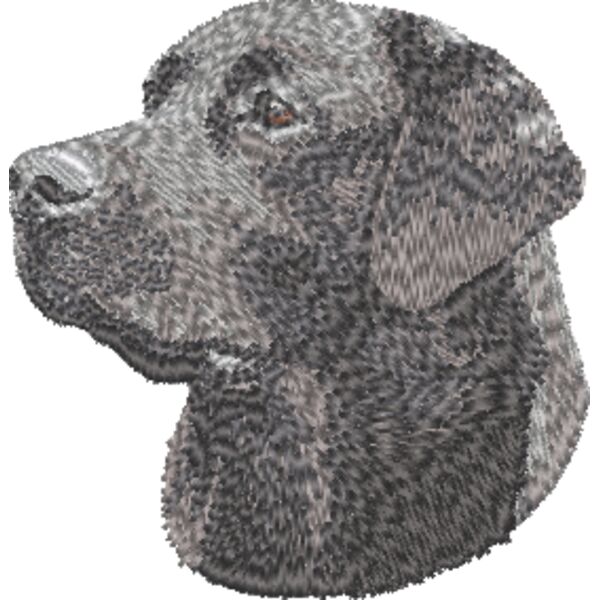 Labrador Retriever Kopf 12 Miniaturansicht