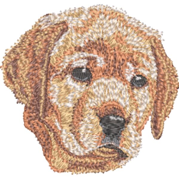 Labrador Retriever Welpe 4 Miniaturansicht