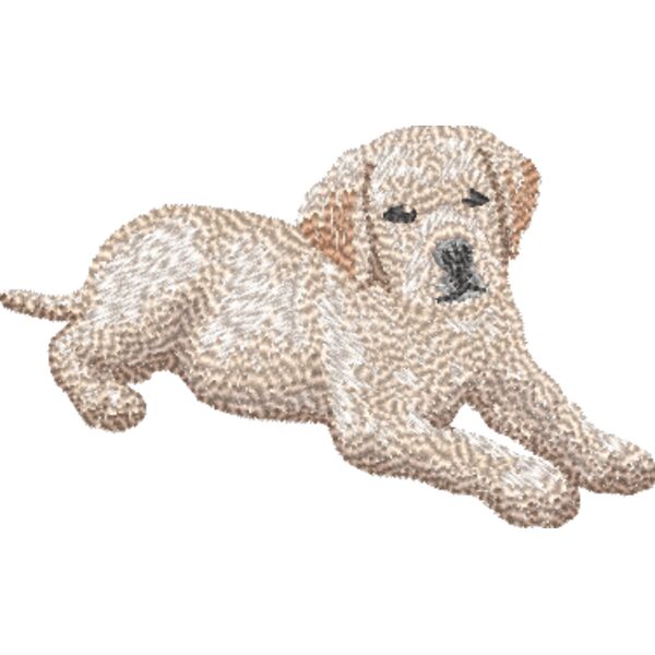 Labrador Retriever Koerper 2 Miniaturansicht