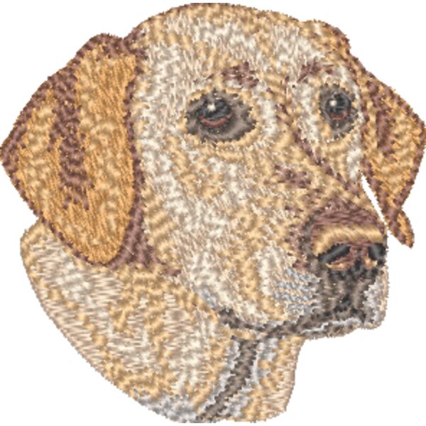 Labrador Retriever Kopf 1 Miniaturansicht