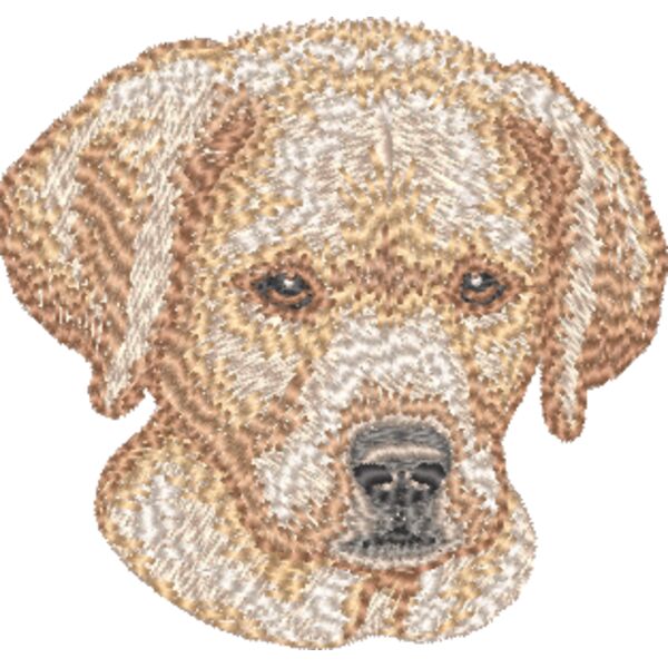 Labrador Retriever Welpe 5 Miniaturansicht