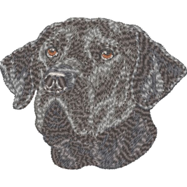 Labrador Retriever Kopf 2 Miniaturansicht