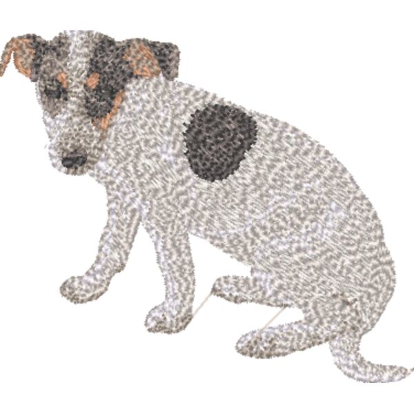 Jack Russel Terrier Körper 1 Miniaturansicht