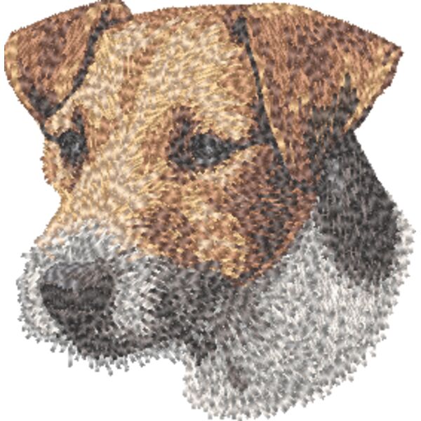 Jack Russel Terrier Kopf 3 Miniaturansicht