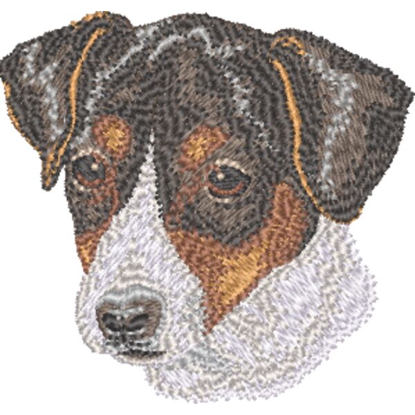 Jack Russel Terrier Kopf 4 Miniaturansicht