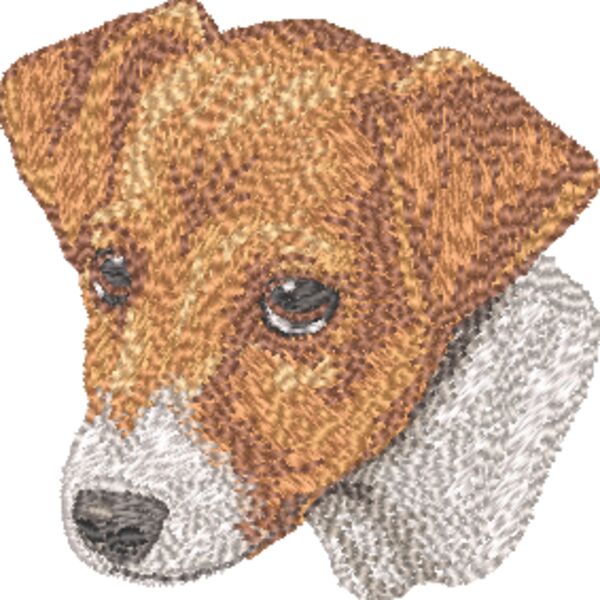 Jack Russel Terrier Kopf 5 Miniaturansicht