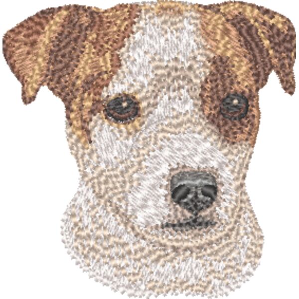 Jack Russel Terrier Kopf 6 Miniaturansicht