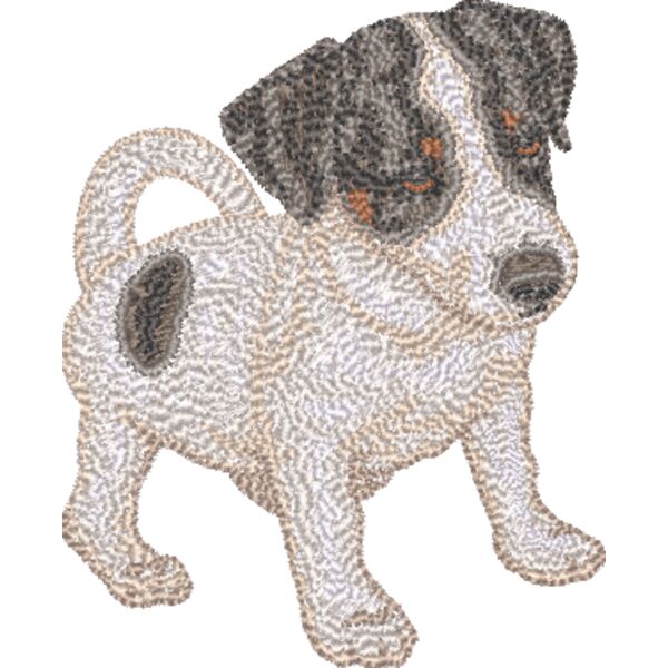 Jack Russel Terrier Körper 2 Miniaturansicht