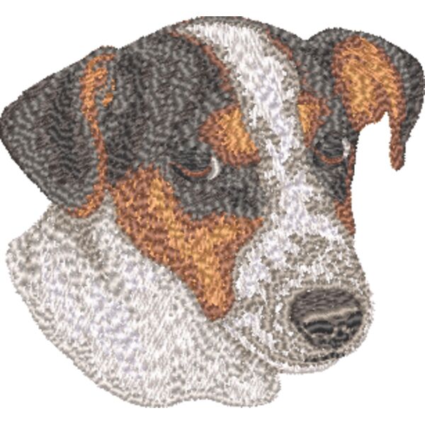 Jack Russel Terrier Kopf 8 Miniaturansicht