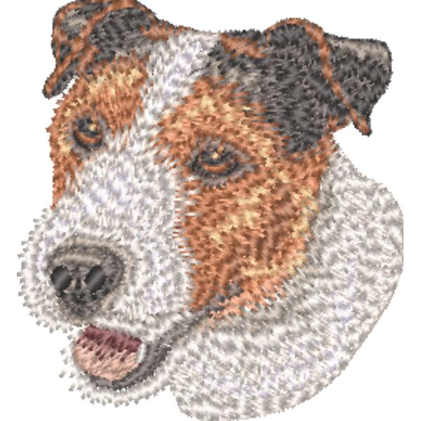 Jack Russel Terrier Kopf 9 Miniaturansicht