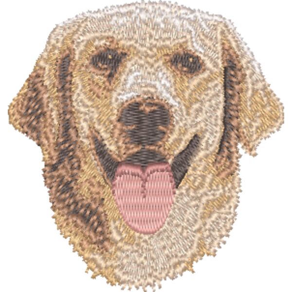 Golden Retriever Kopf 1 Miniaturansicht