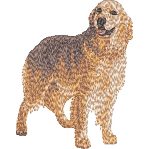 Golden Retriever Körper 1 Miniaturansicht