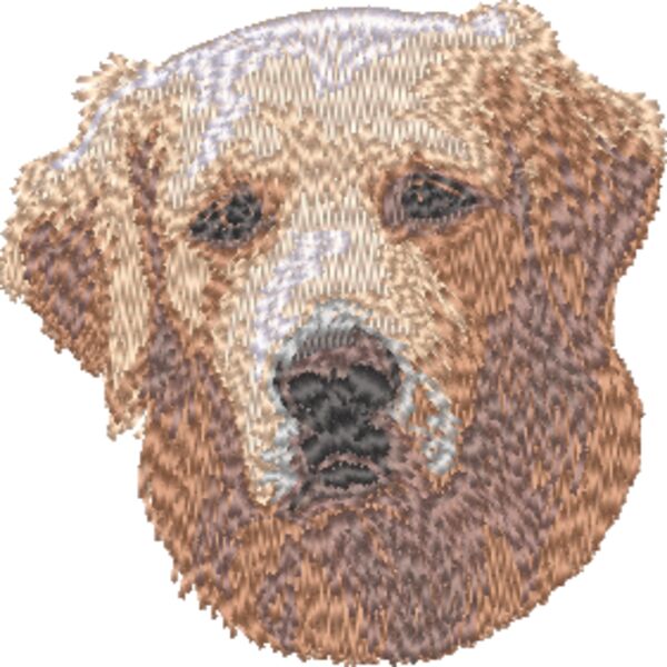 Golden Retriever Kopf 4 Miniaturansicht