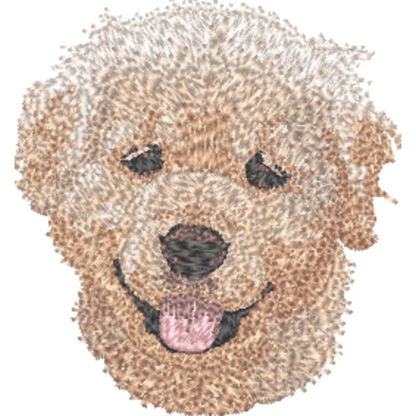 Golden Retriever Welpe 2 Miniaturansicht