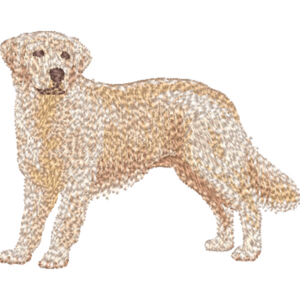 Golden Retriever Körper 3 Miniaturansicht