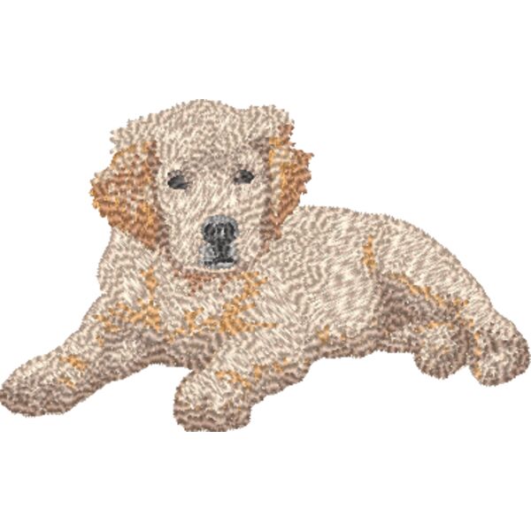 Golden Retriever Koerper 4 Miniaturansicht