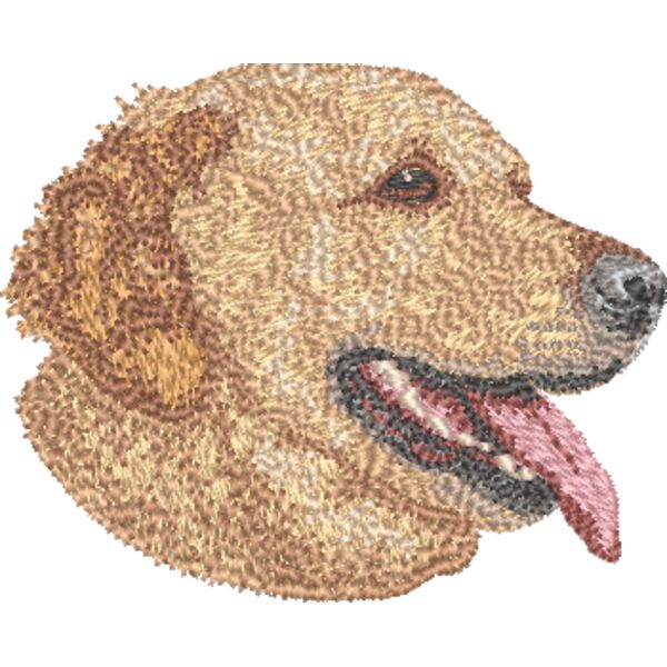 Golden Retriever Kopf 6 Miniaturansicht