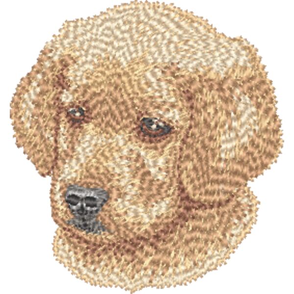 Golden Retriever Kopf 7 Miniaturansicht